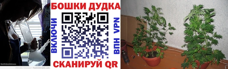 Продажа наркотиков Курильск ГАШИШ  Альфа ПВП  МЕФ  Бошки Шишки 