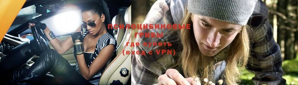 хмурый Михайловск