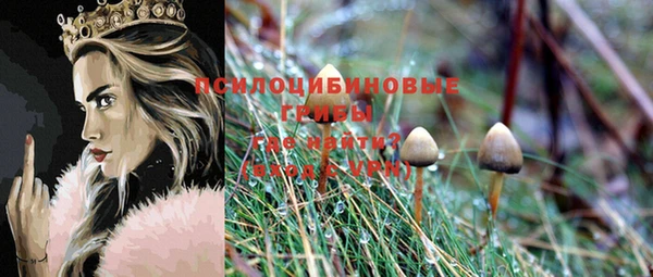 хмурый Михайловск