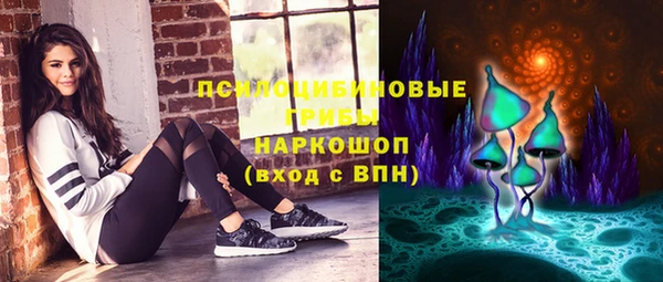 бошки Надым