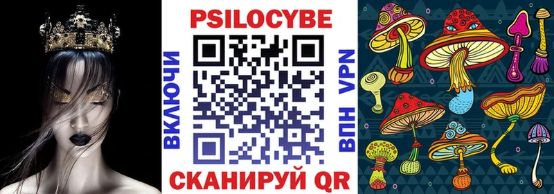 Псилоцибиновые грибы Psilocybine cubensis Курильск