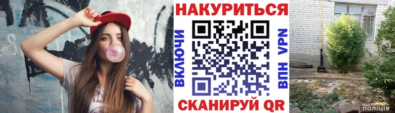 купить наркоту  Курильск  Канабис сатива 
